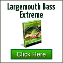 Largemouth Bass Fishing Tactics